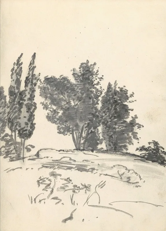Trees Bushes And Vegetation