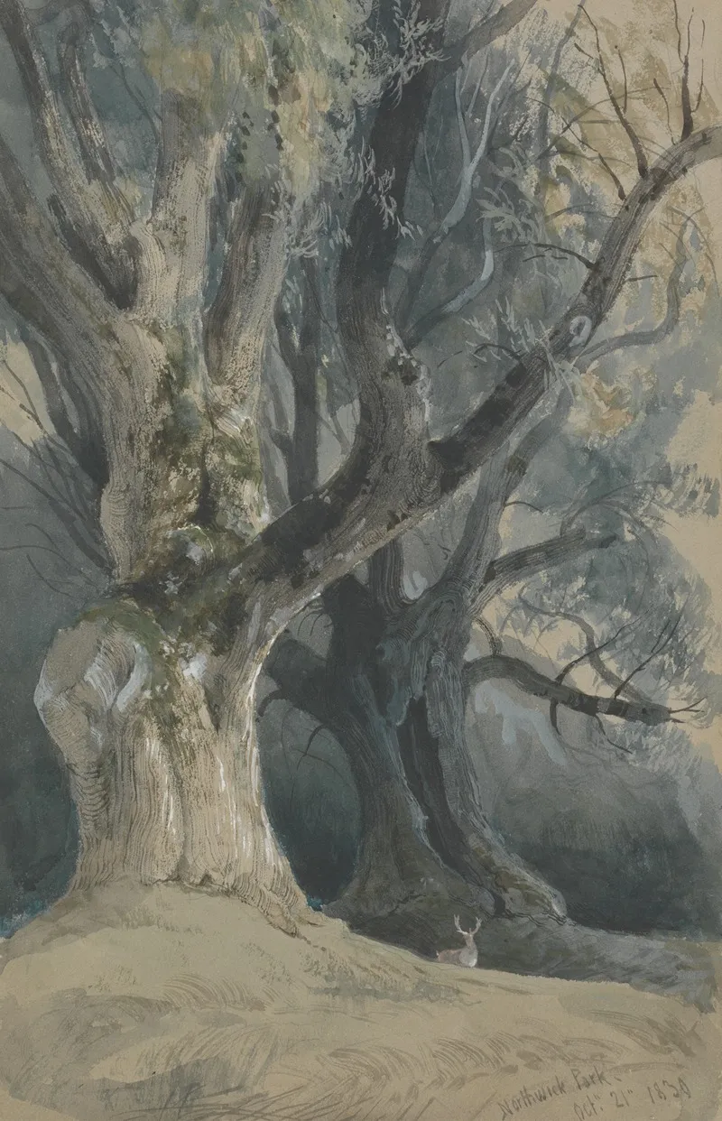 Trees In Northwick Park