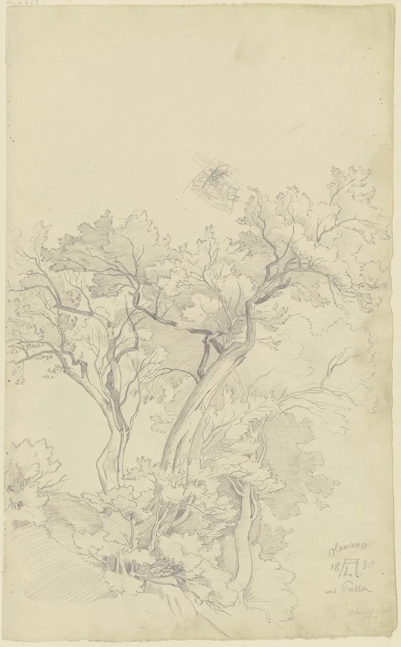 Trees Near Olevano by August Lucas - Canvas Print