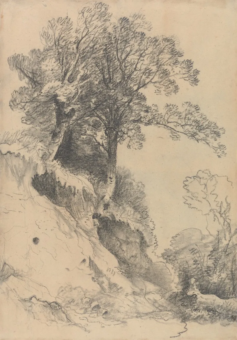Trees On A Crumbling Bank