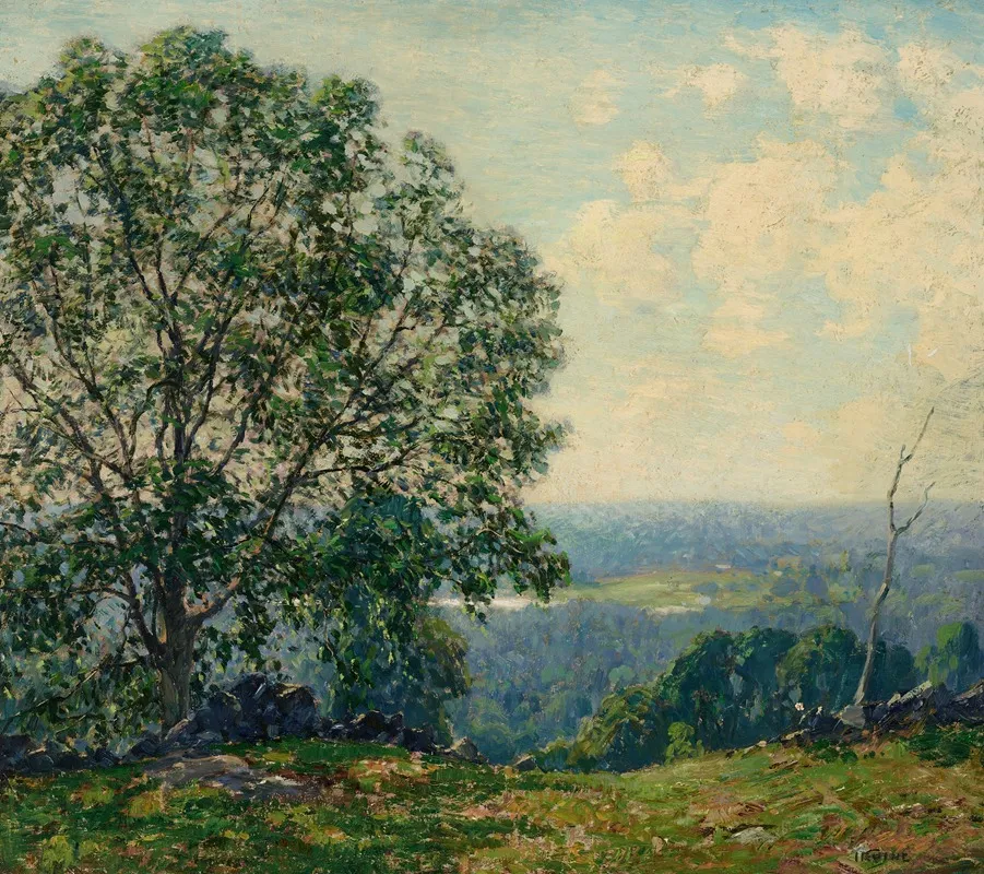 Trees On A Hillside Overlooking A Valley