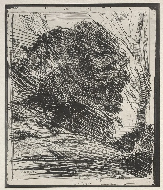 Trees On The Mountain