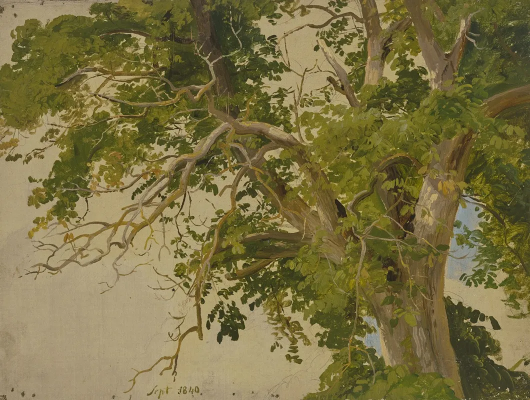 Treetop 2