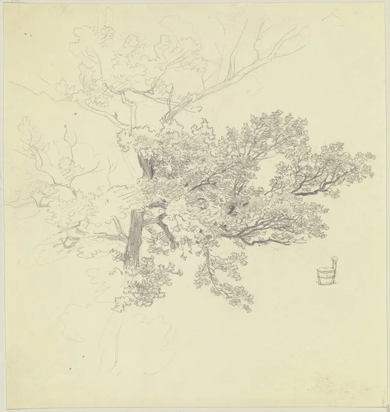 Treetop And Tub