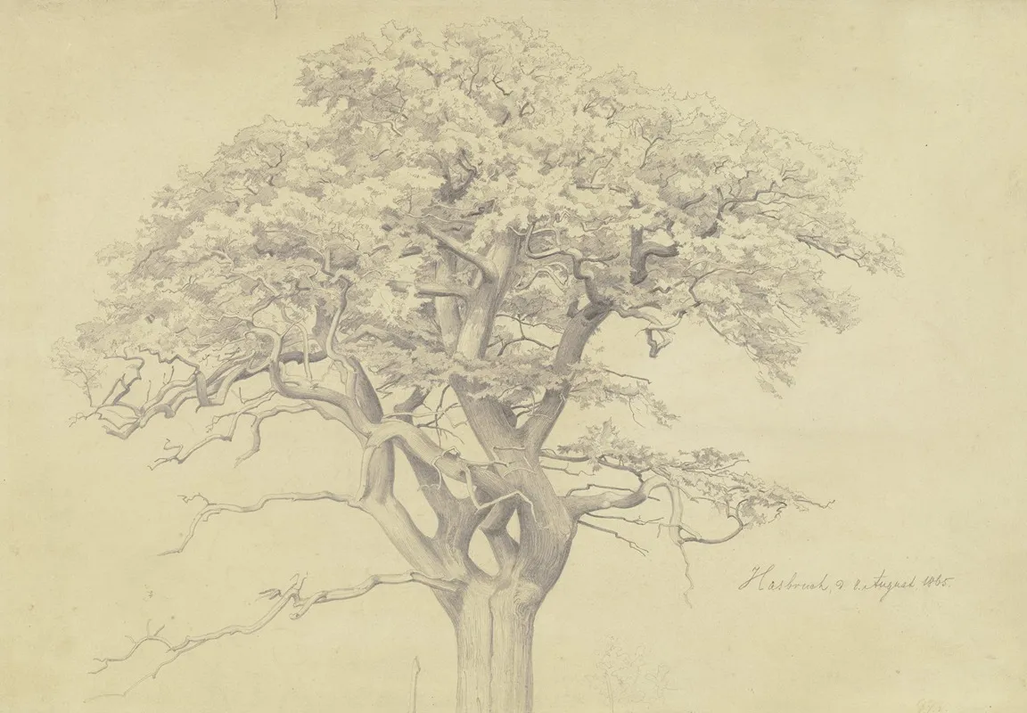 Treetop by Edmund Kanoldt - Canvas Print