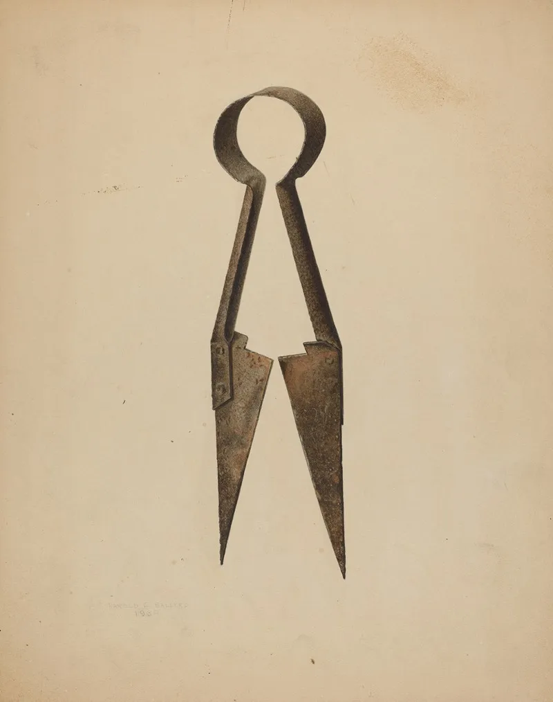 Trimming Shears by Harold Ballerd - Canvas Print
