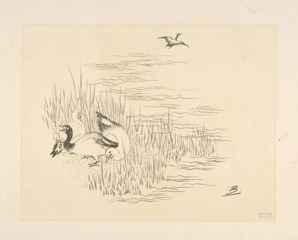 Trois Canards Et Un Quatrieme Qui Vole