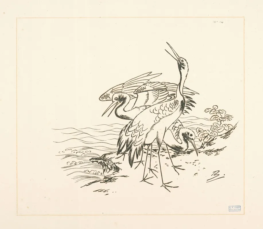 Trois Grues Au Bord De La Mer