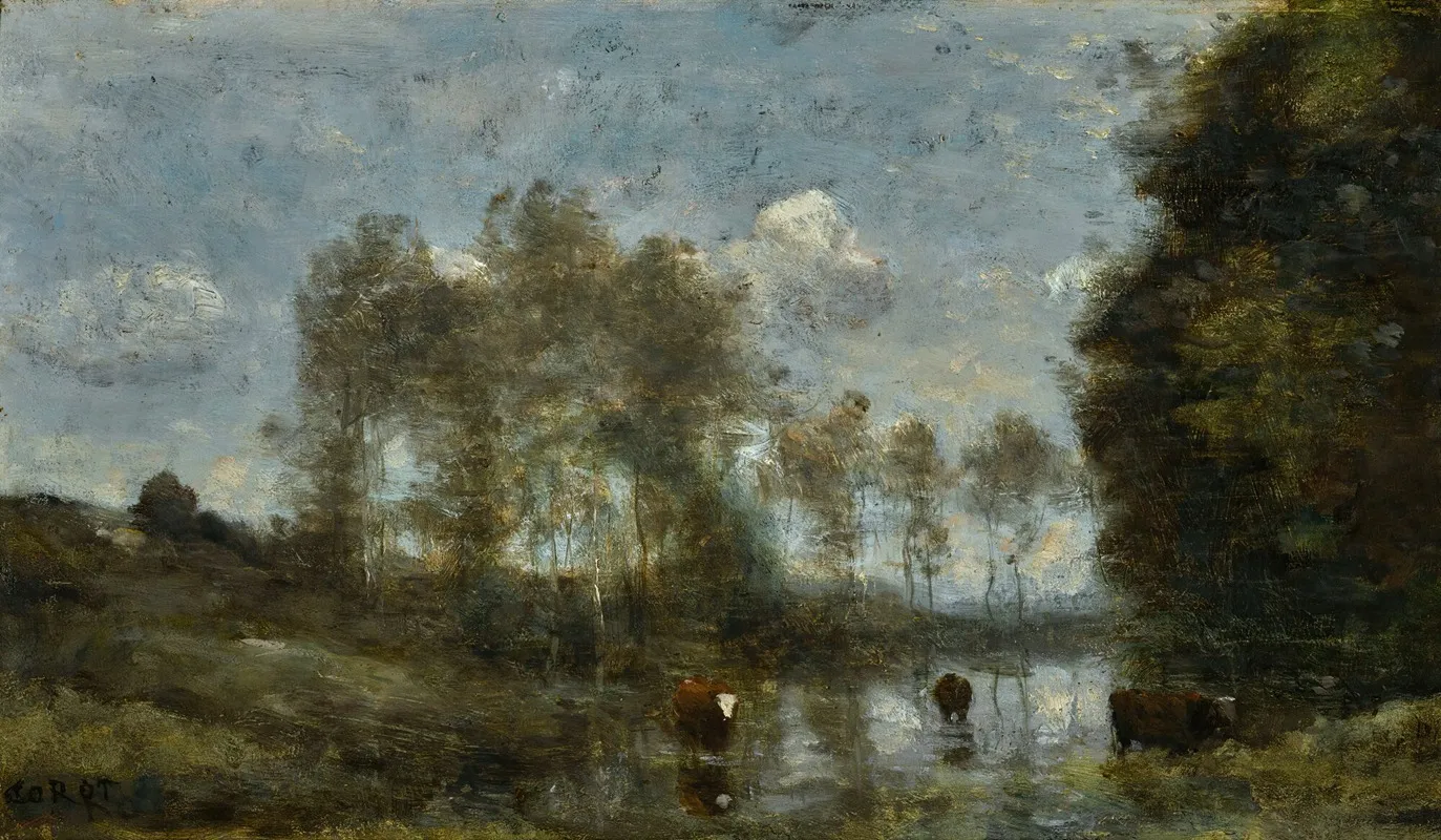 Trois Vaches Dans Un Marais