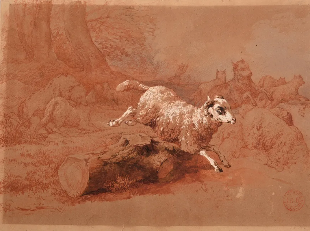 Troupeau De Moutons Fuyant Un Loup