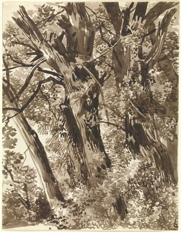 Trunks And Branches by Franz Kobell - Canvas Print