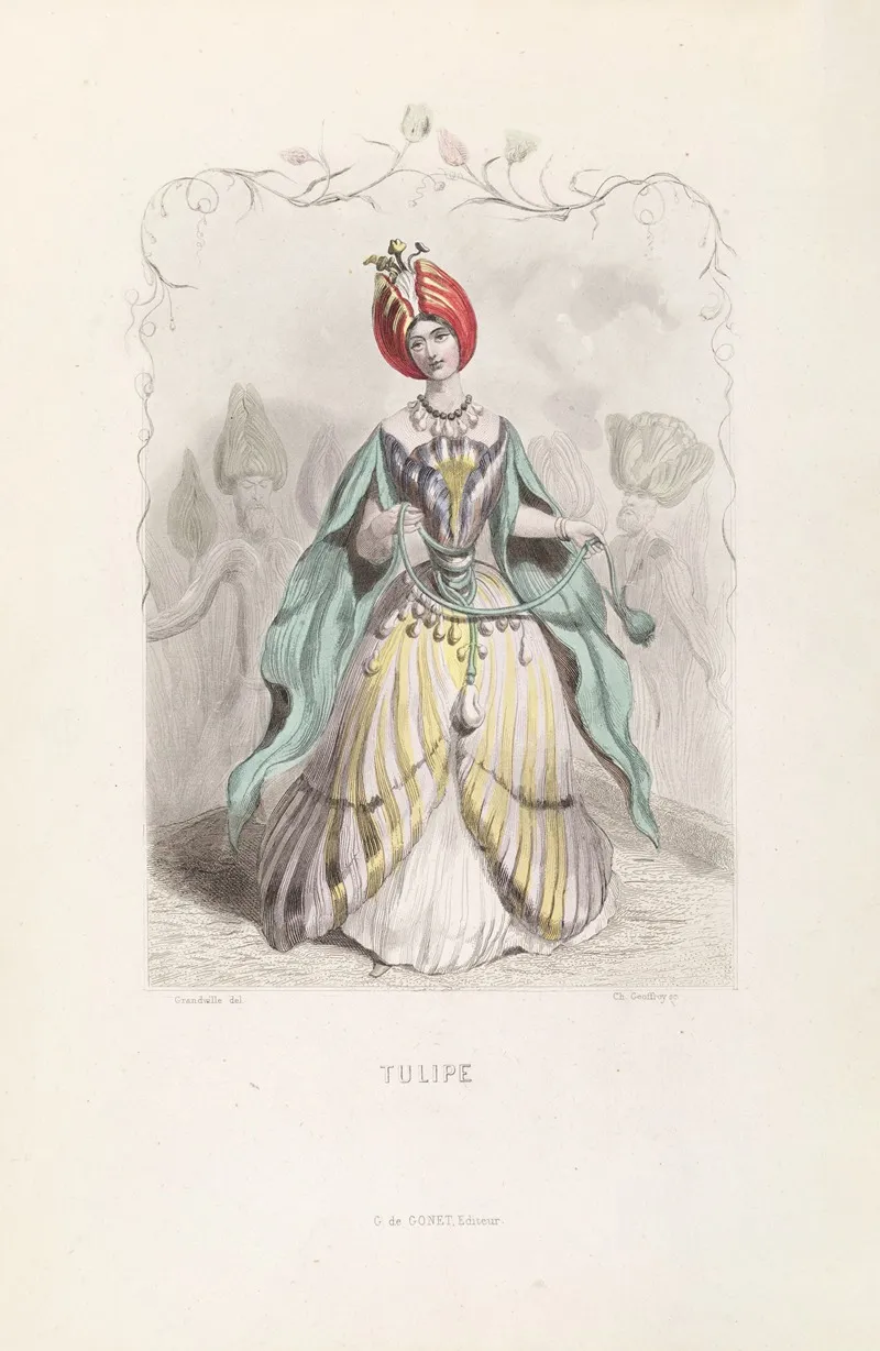 Tulipe