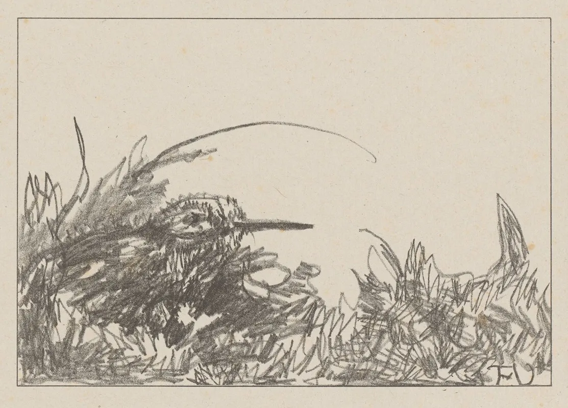 Tureluur In Het Gras by Theo van Hoytema - Canvas Print