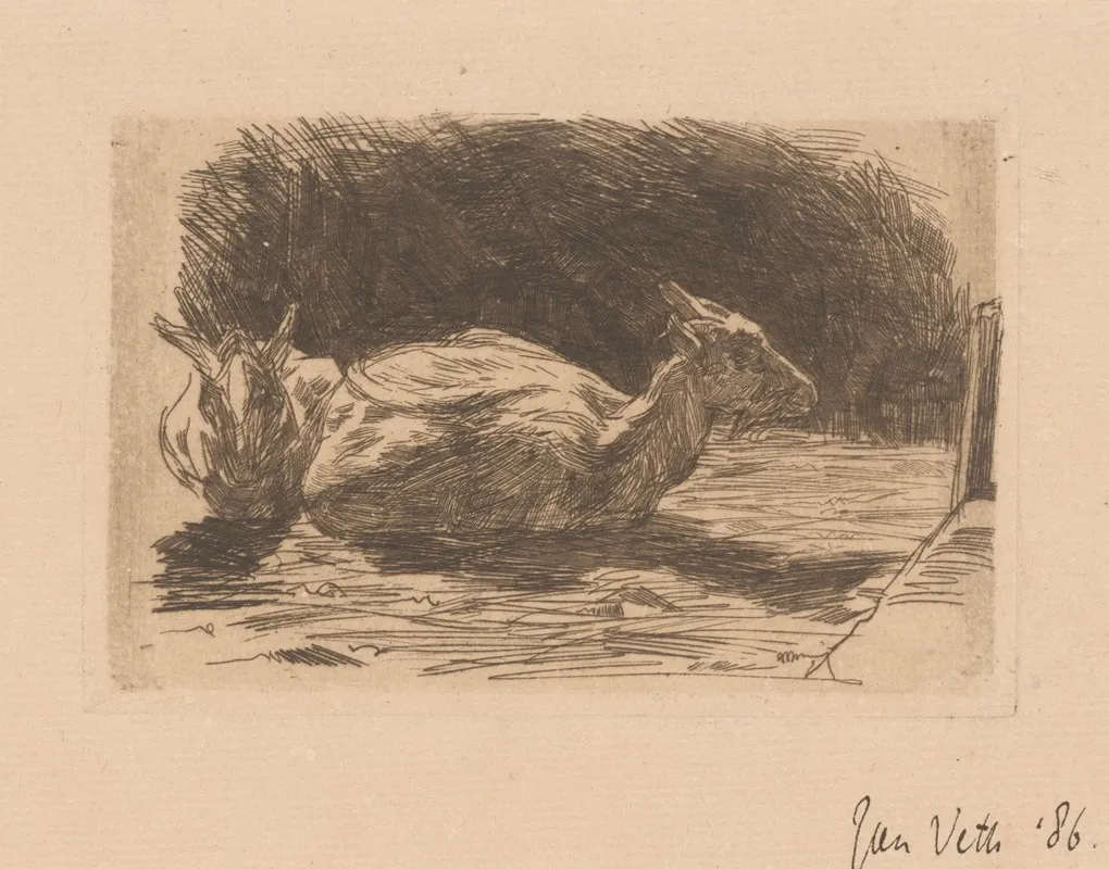 Twee Geiten 2 by Jan Veth - Canvas Print