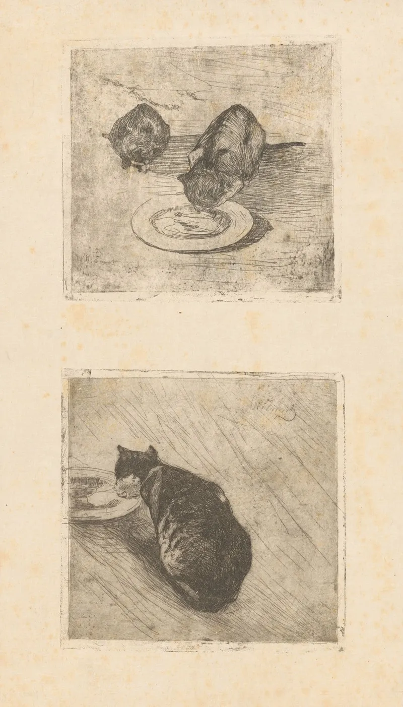 Twee Poesjes Melkdrinkende Poes