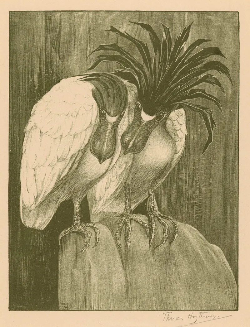 Twee Schuitbekreigers