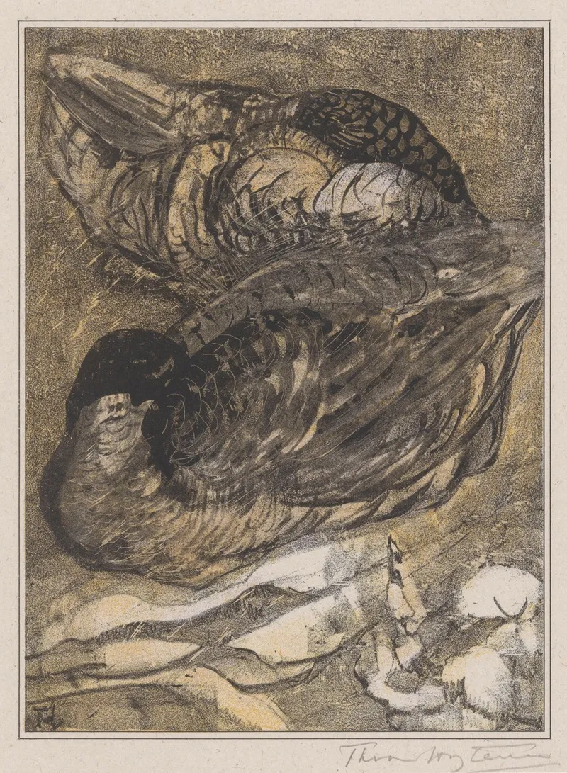 Twee Slapende Eenden