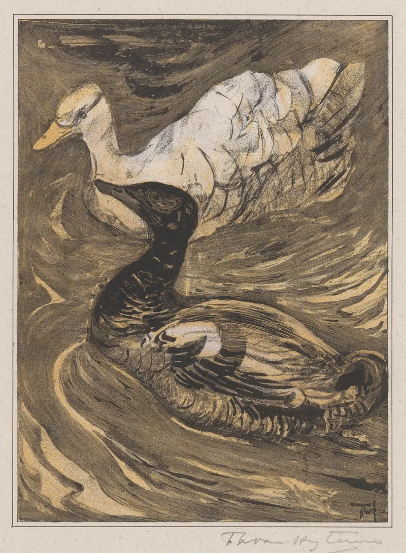 Twee Zwemmende Eenden