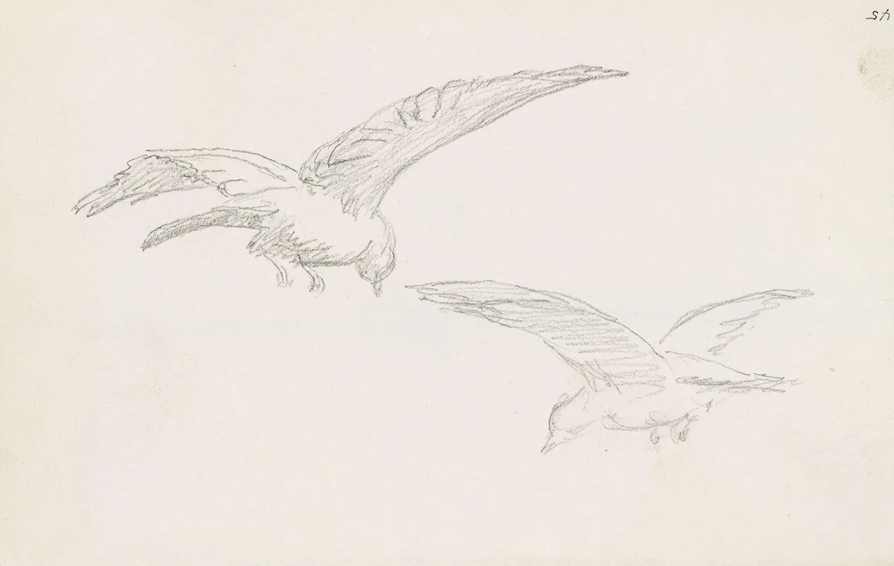 Two Birds 3