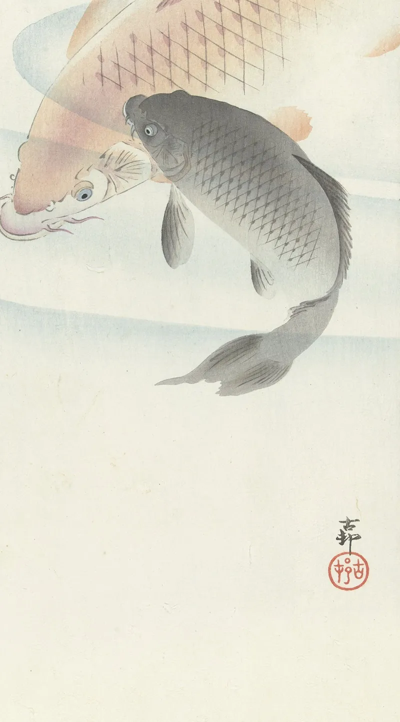 Two Carps 2 by Ohara Koson - Canvas Print