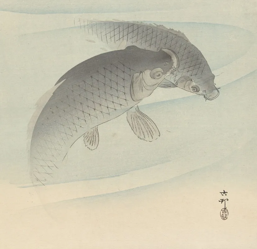 Two Carps by Ohara Koson - Canvas Print