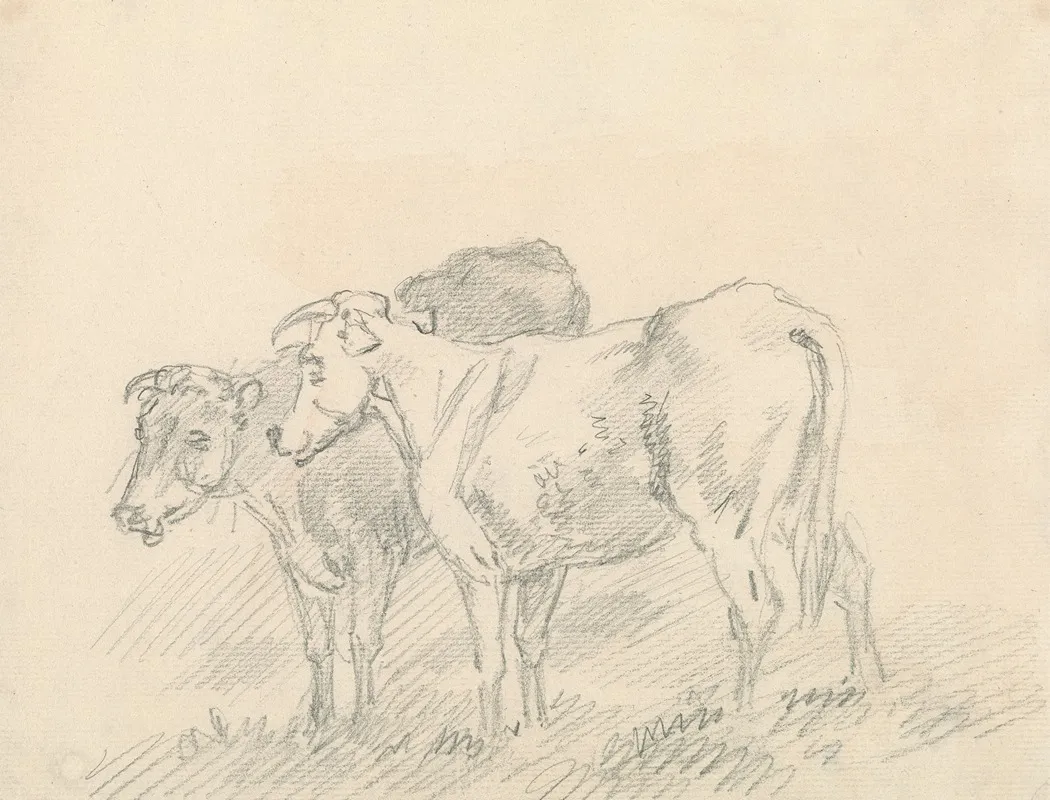 Two Cows 2