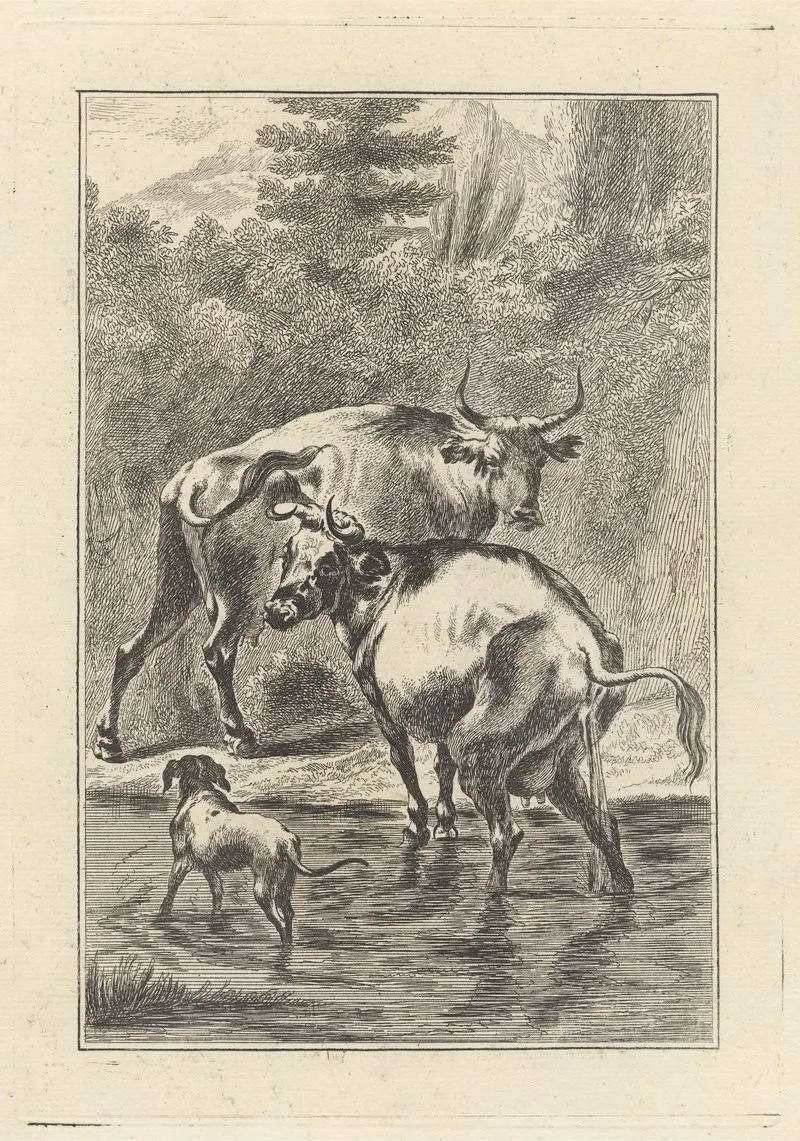 Two Cows And A Dog In A Stream by George Bickham the Younger - Canvas Print