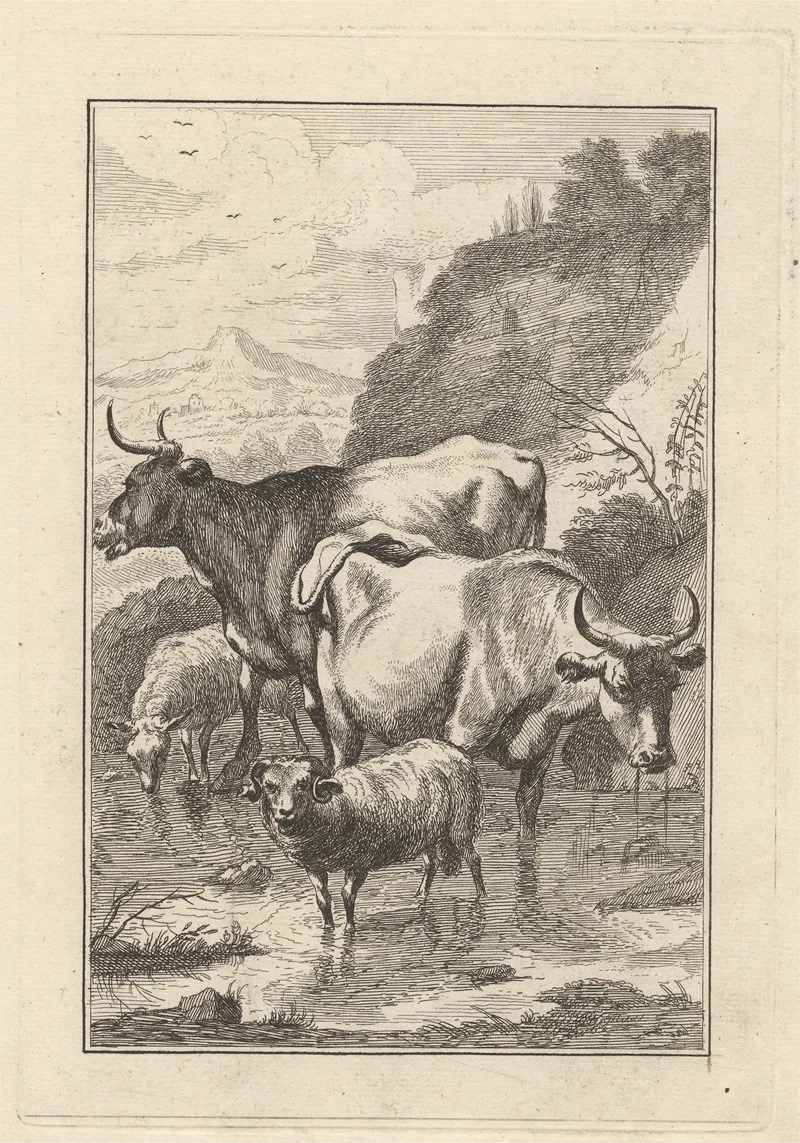 Two Cows And Two Sheep In A Stream