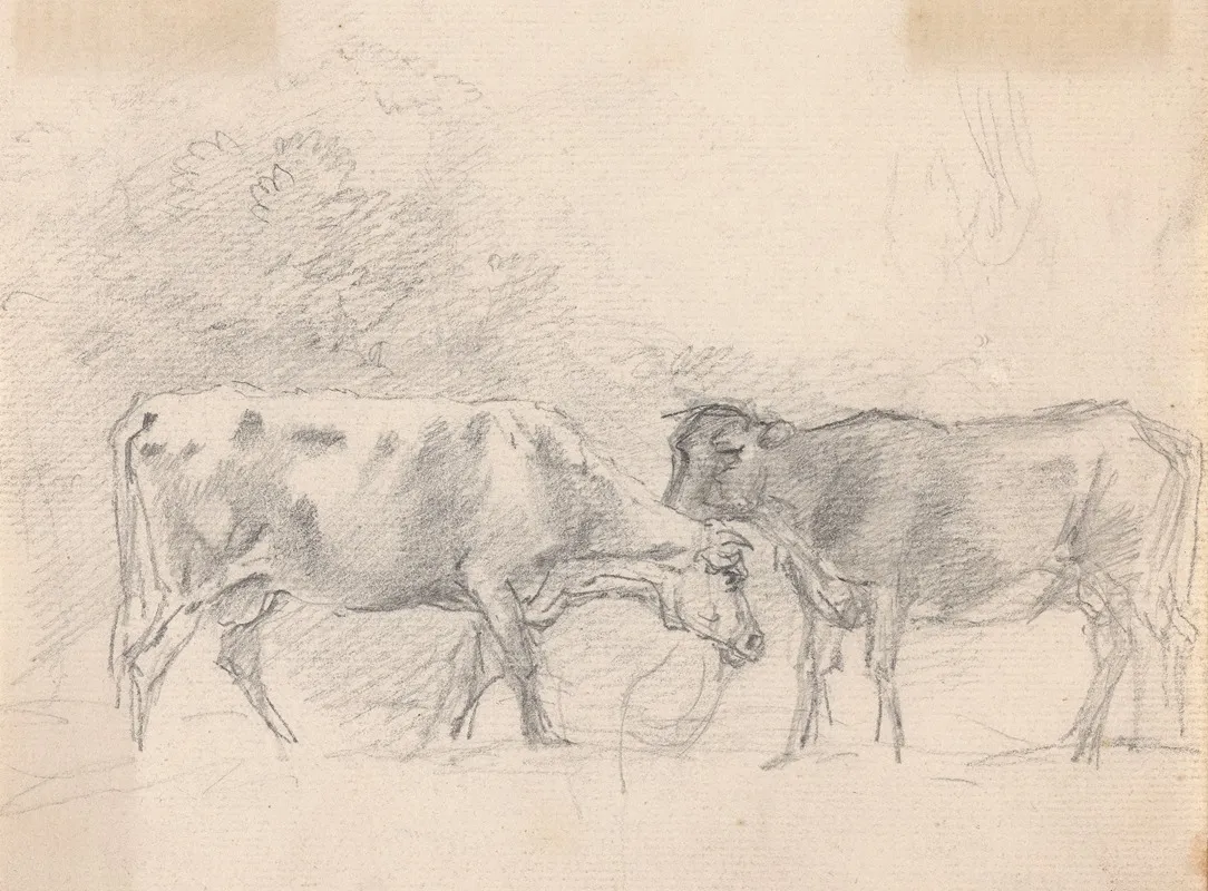 Two Cows Grazing 2
