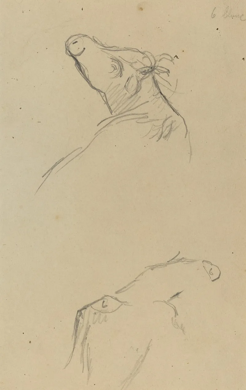 Two Cows Heads Verso