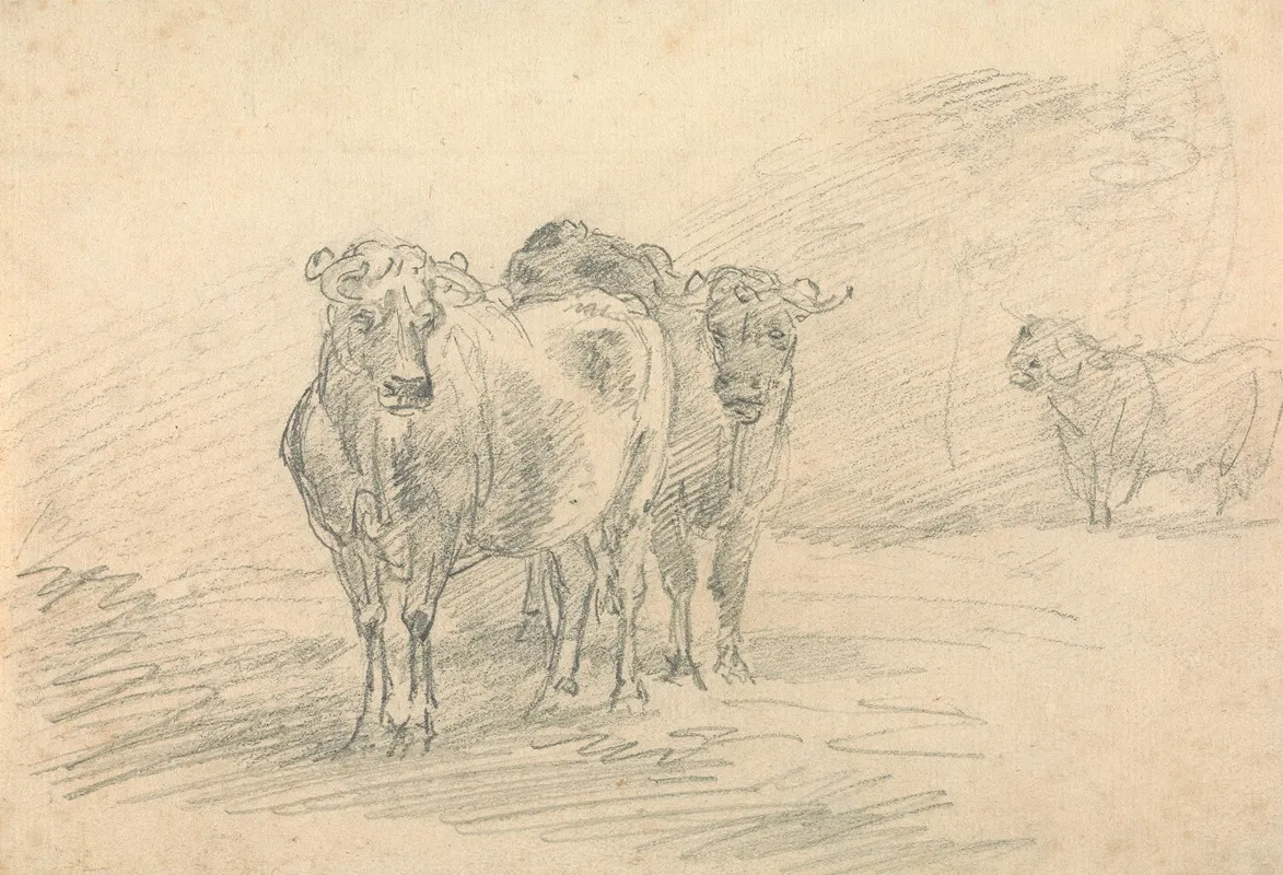 Two Cows On A Hill