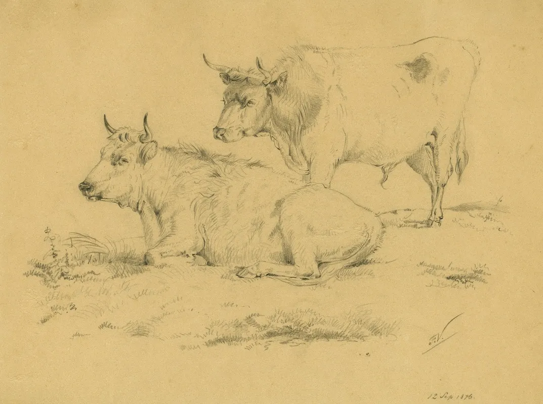 Two Cows On A Pasture