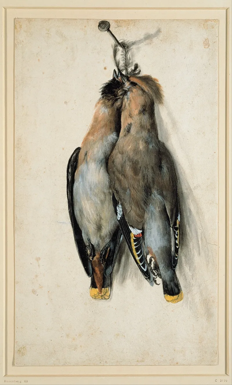 Two Dead Bohemian Waxwings by Lucas Cranach the Elder - Canvas Print
