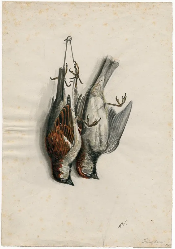 Two Dead Sparrows On A Nail