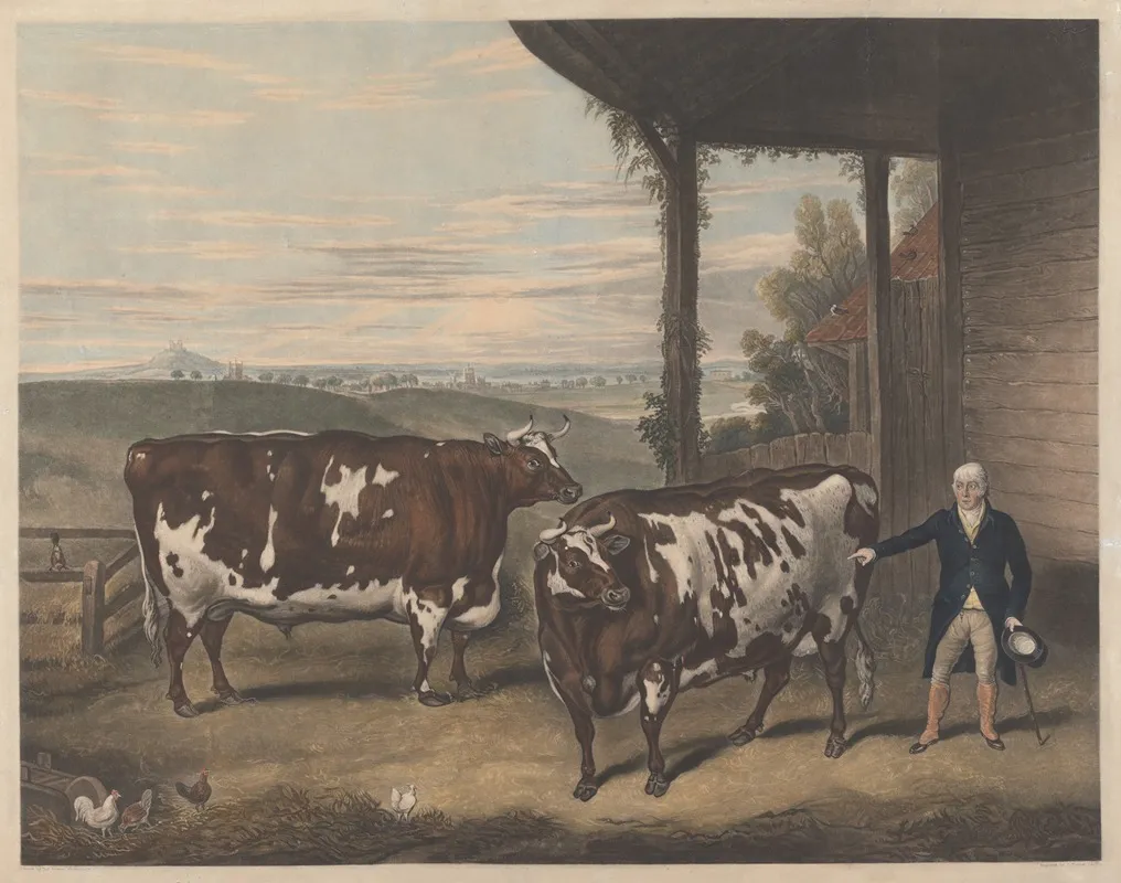 Two Denham Oxen by Thomas Weaver - Canvas Print