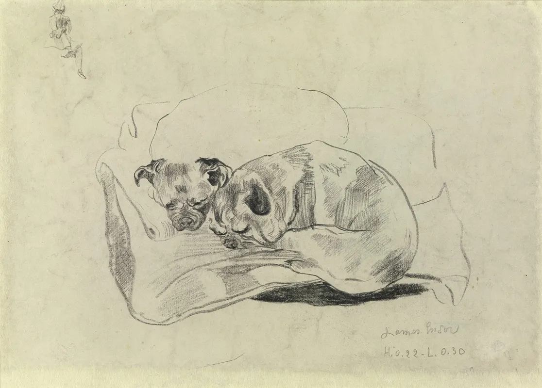 Two Dogs 4 by James Ensor - Canvas Print