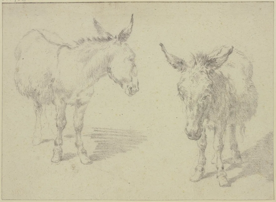 Two Donkeys 3