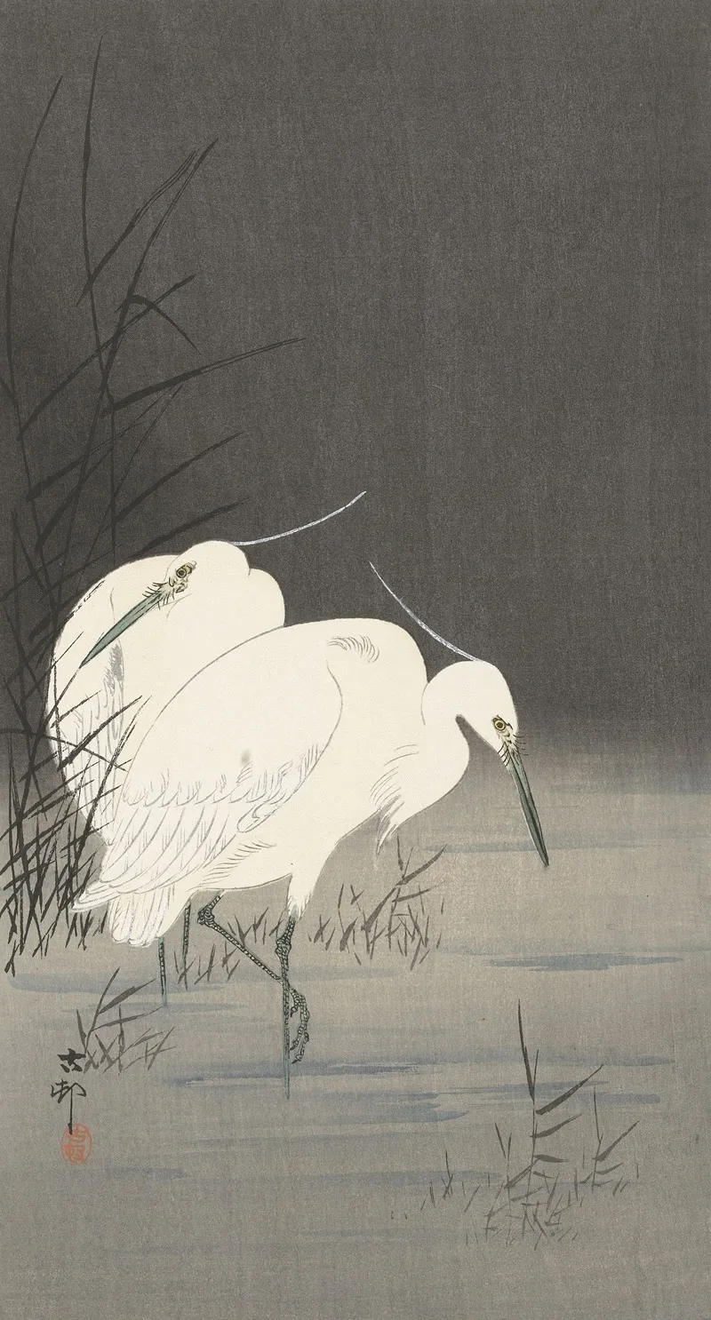 Two Egrets In The Reeds