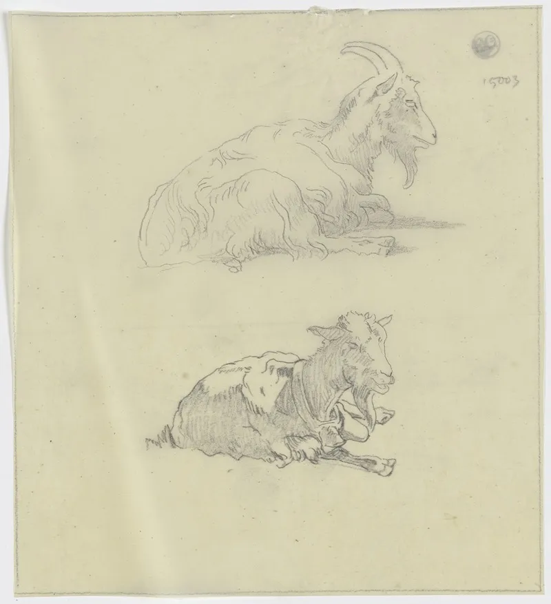 Two Goats 4