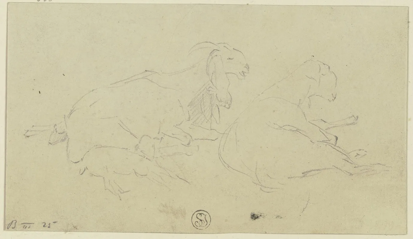 Two Goats 5 by Wilhelm Gentz - Canvas Print