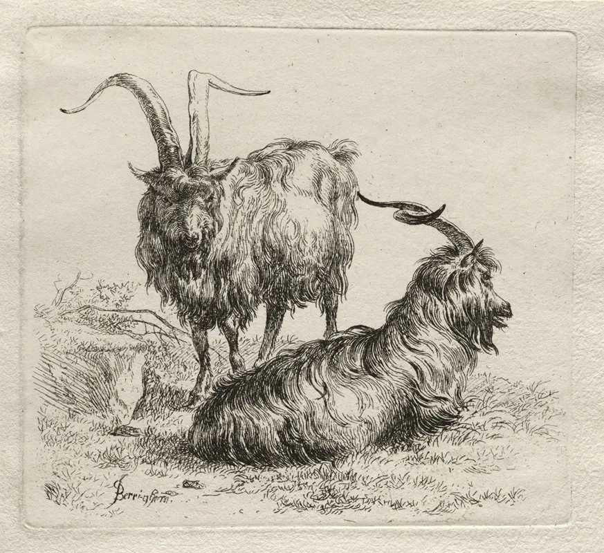 Two Goats 6