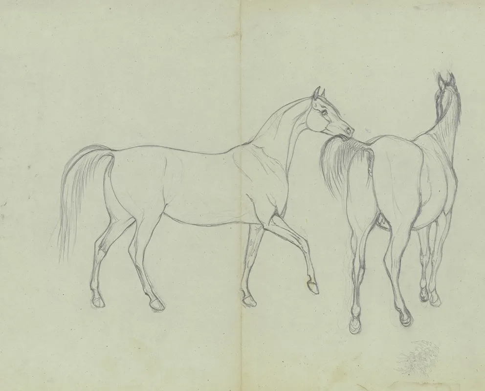 Two Horses 5 by Ferdinand Fellner - Canvas Print