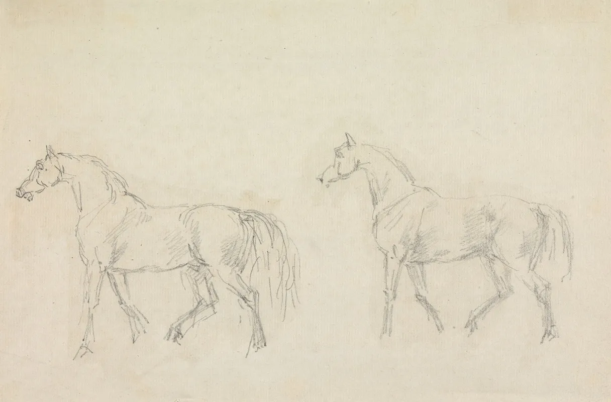 Two Horses Walking To Left