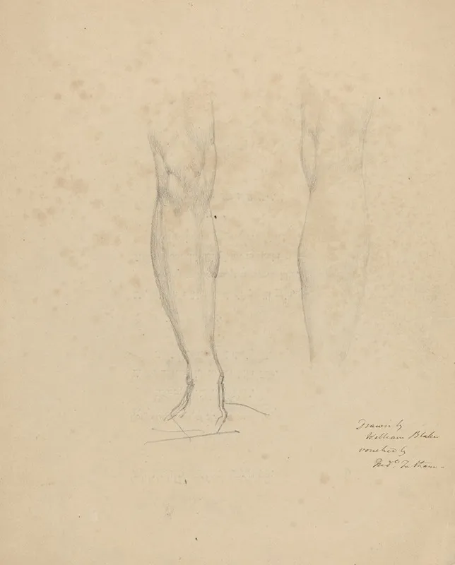 Two Legs
