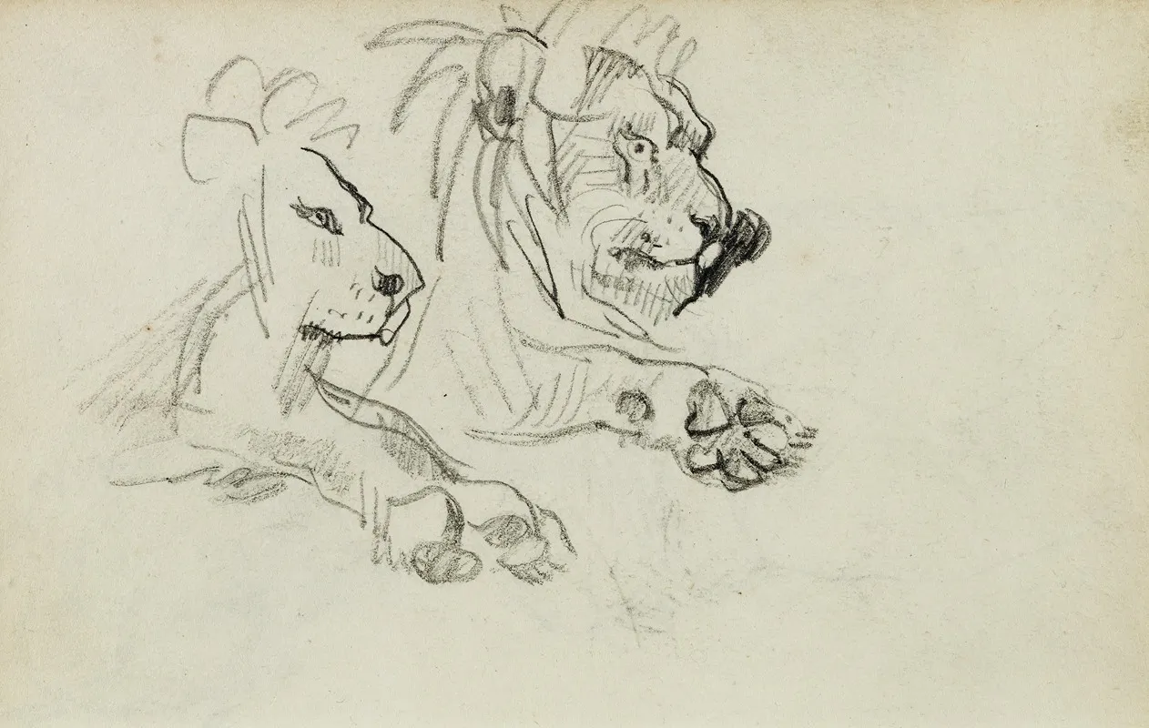 Two Lion Studies by Théodore Géricault - Canvas Print