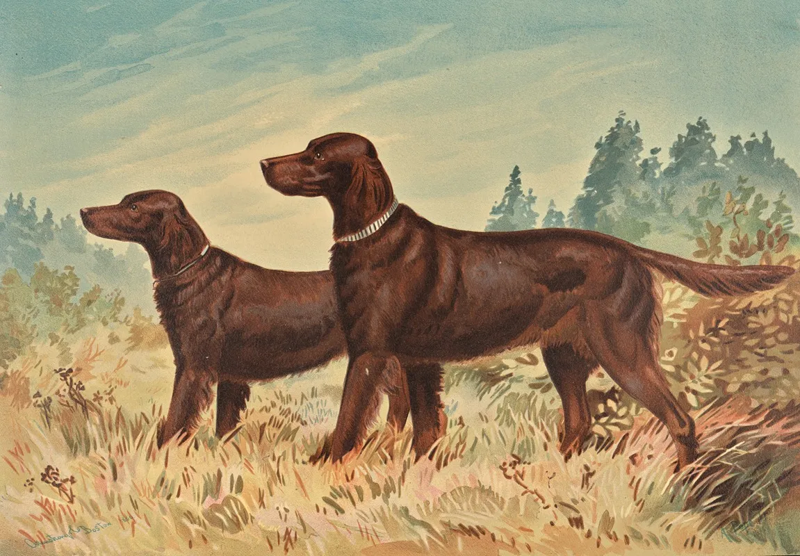 Two Standing Flatcoated Retrievers Facing Left