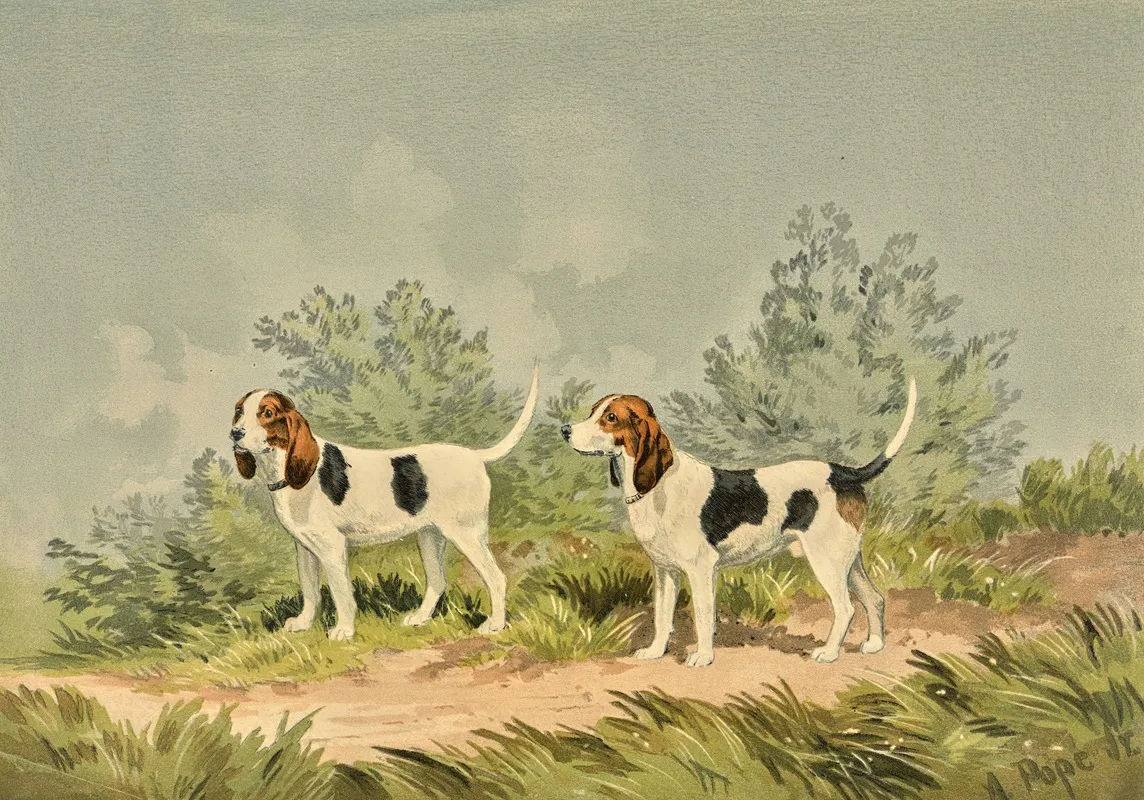 Two Standing Harriers Facing Left