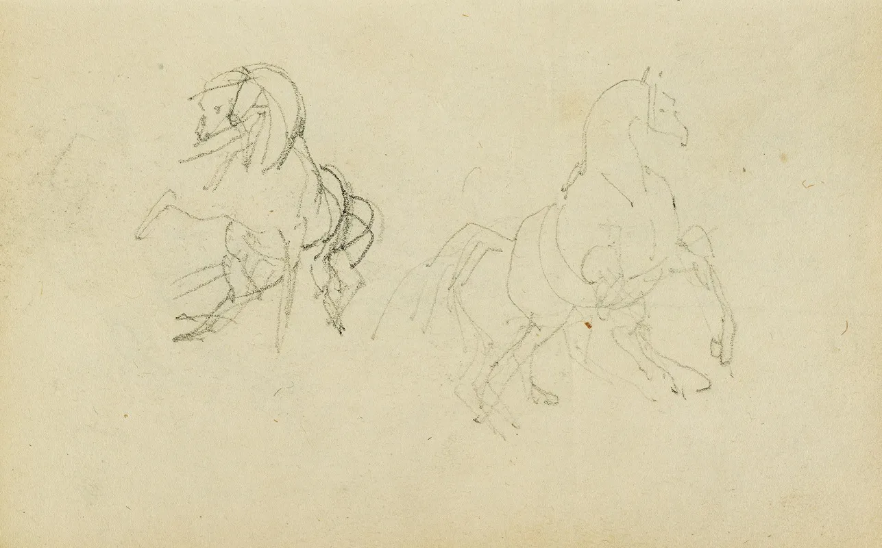 Two Studies Of A Rearing Horse