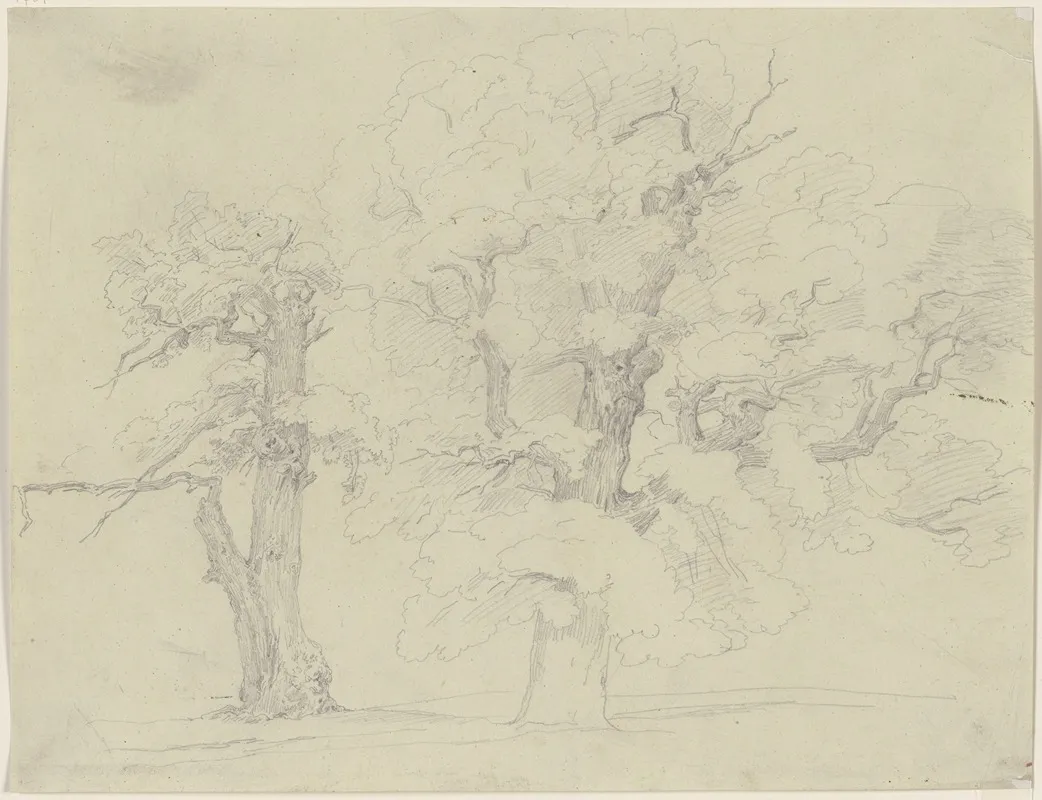 Two Trees by Jakob Becker - Canvas Print
