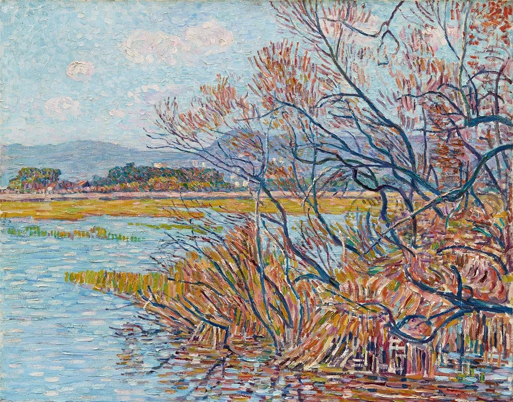 Uberschwemmung Bei Hyeres Mit Baumgestrupp Und Schilfgras Am Ufer by Paul Baum - Canvas Print